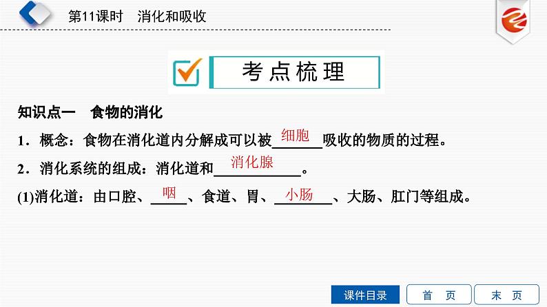 中考生物一轮复习培优课件第11单元　消化和吸收 (含答案)第2页