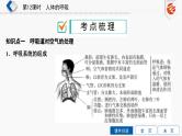 中考生物一轮复习培优课件第12单元　人体的呼吸 (含答案)