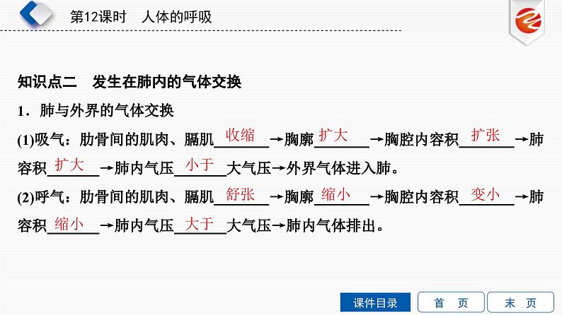中考生物一轮复习培优课件第12单元　人体的呼吸 (含答案)第4页