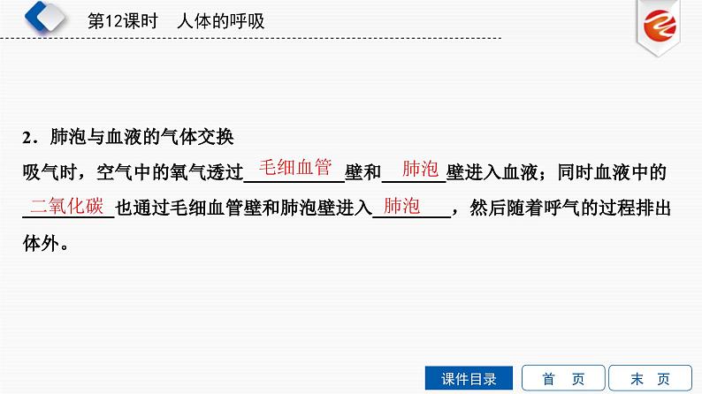 中考生物一轮复习培优课件第12单元　人体的呼吸 (含答案)第5页