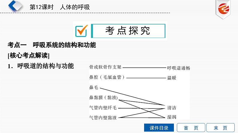 中考生物一轮复习培优课件第12单元　人体的呼吸 (含答案)第6页