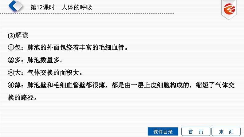 中考生物一轮复习培优课件第12单元　人体的呼吸 (含答案)第8页