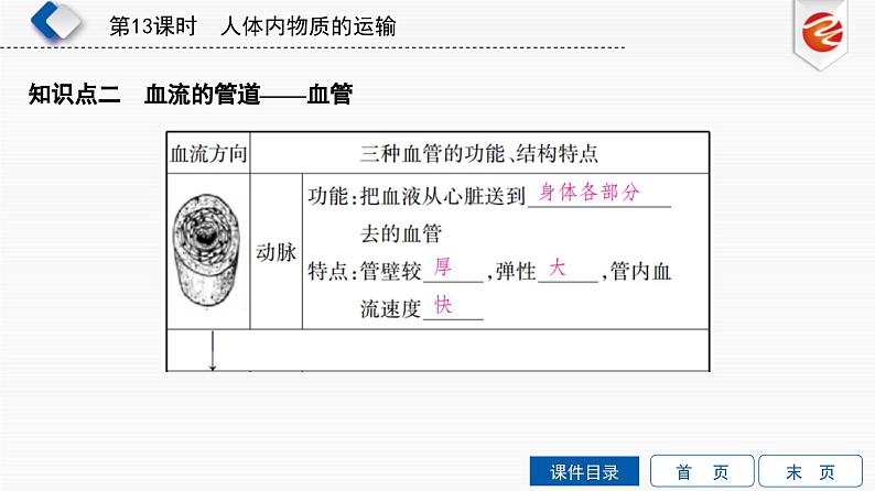 中考生物一轮复习培优课件第13单元　人体内物质的运输 (含答案)第5页