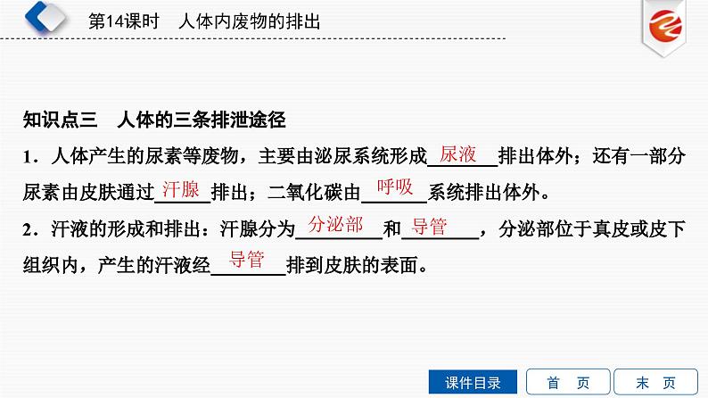 中考生物一轮复习培优课件第14单元　人体内废物的排出 (含答案)第7页