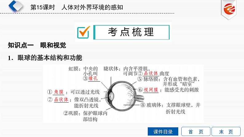 中考生物一轮复习培优课件第15单元　人体对外界环境的感知 (含答案)第2页