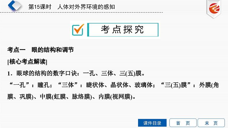 中考生物一轮复习培优课件第15单元　人体对外界环境的感知 (含答案)第6页