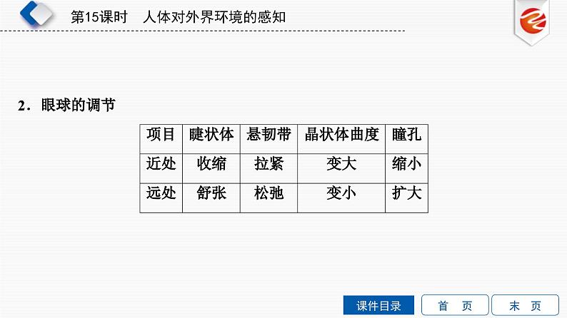 中考生物一轮复习培优课件第15单元　人体对外界环境的感知 (含答案)第7页