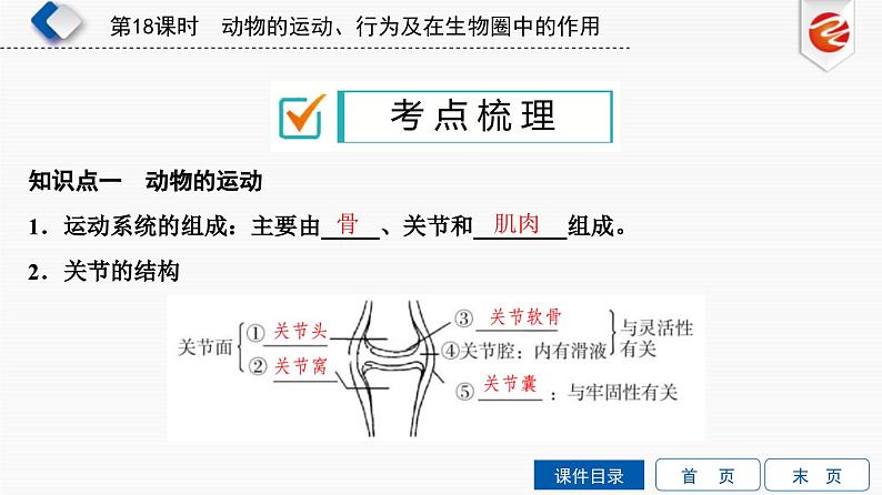 中考生物一轮复习培优课件第18单元　动物的运动、行为及在生物圈中的作用 (含答案)第2页