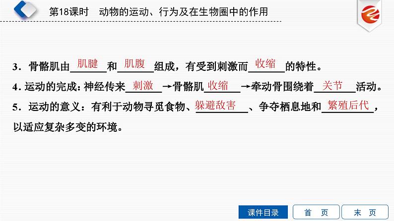 中考生物一轮复习培优课件第18单元　动物的运动、行为及在生物圈中的作用 (含答案)第3页