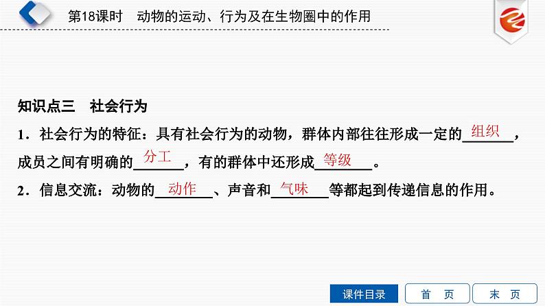 中考生物一轮复习培优课件第18单元　动物的运动、行为及在生物圈中的作用 (含答案)第5页