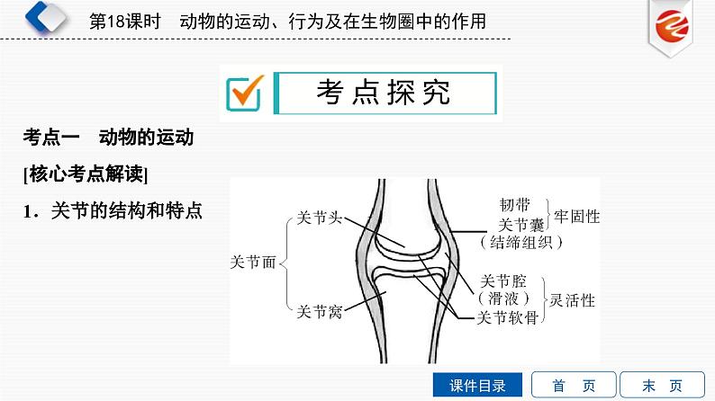 中考生物一轮复习培优课件第18单元　动物的运动、行为及在生物圈中的作用 (含答案)第7页