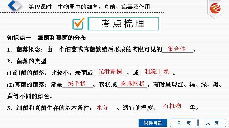 中考生物一轮复习培优课件第19单元　生物圈中的细菌、真菌、病毒及作用 (含答案)02