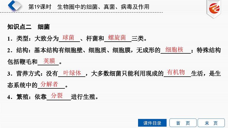 中考生物一轮复习培优课件第19单元　生物圈中的细菌、真菌、病毒及作用 (含答案)03