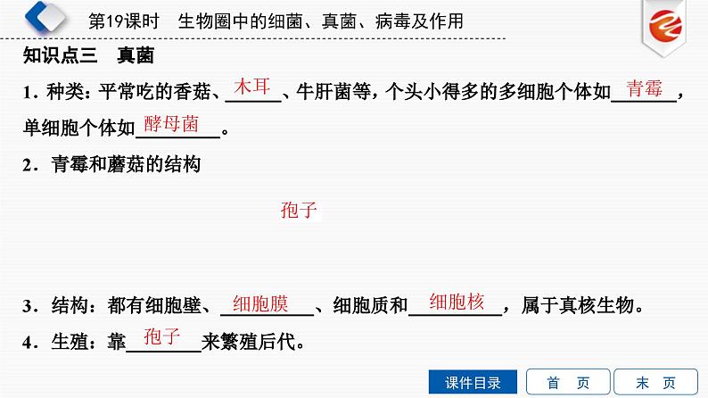 中考生物一轮复习培优课件第19单元　生物圈中的细菌、真菌、病毒及作用 (含答案)04