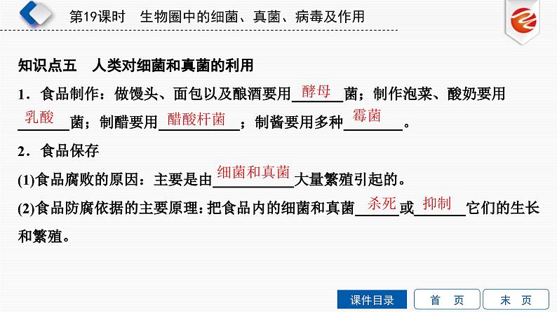 中考生物一轮复习培优课件第19单元　生物圈中的细菌、真菌、病毒及作用 (含答案)06