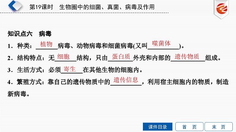 中考生物一轮复习培优课件第19单元　生物圈中的细菌、真菌、病毒及作用 (含答案)07