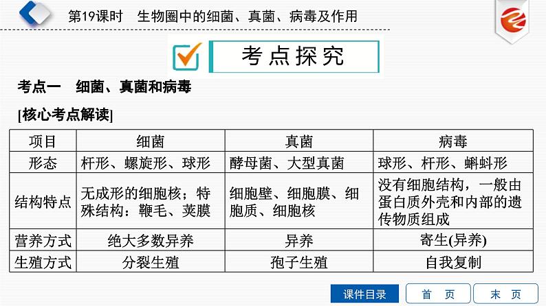 中考生物一轮复习培优课件第19单元　生物圈中的细菌、真菌、病毒及作用 (含答案)08