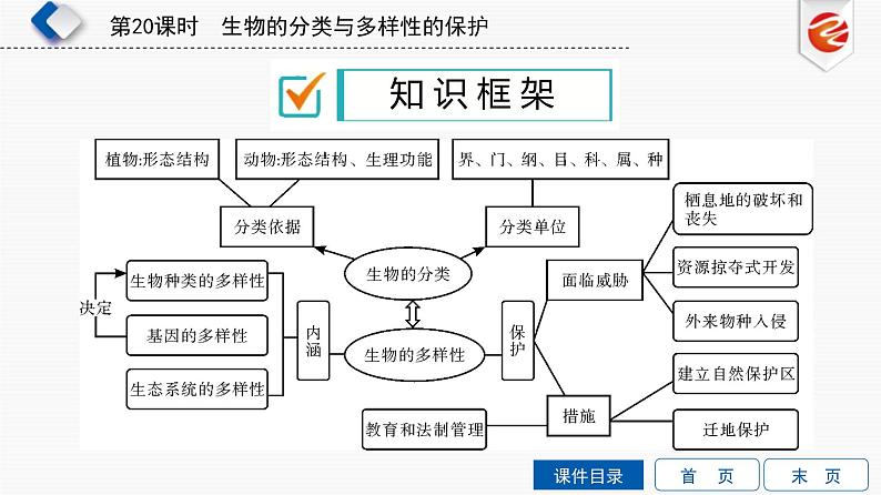 中考生物一轮复习培优课件第20单元　生物的分类与多样性的保护 (含答案)02