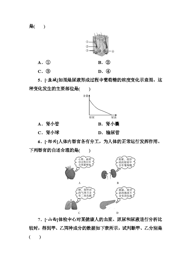 中考生物一轮复习培优练习第14单元　人体内废物的排出 (含答案)第2页