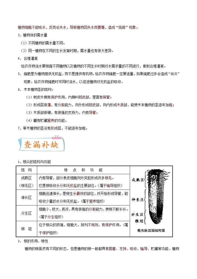 中考生物一轮复习微专题集训考点05 植株的生长（含解析）03