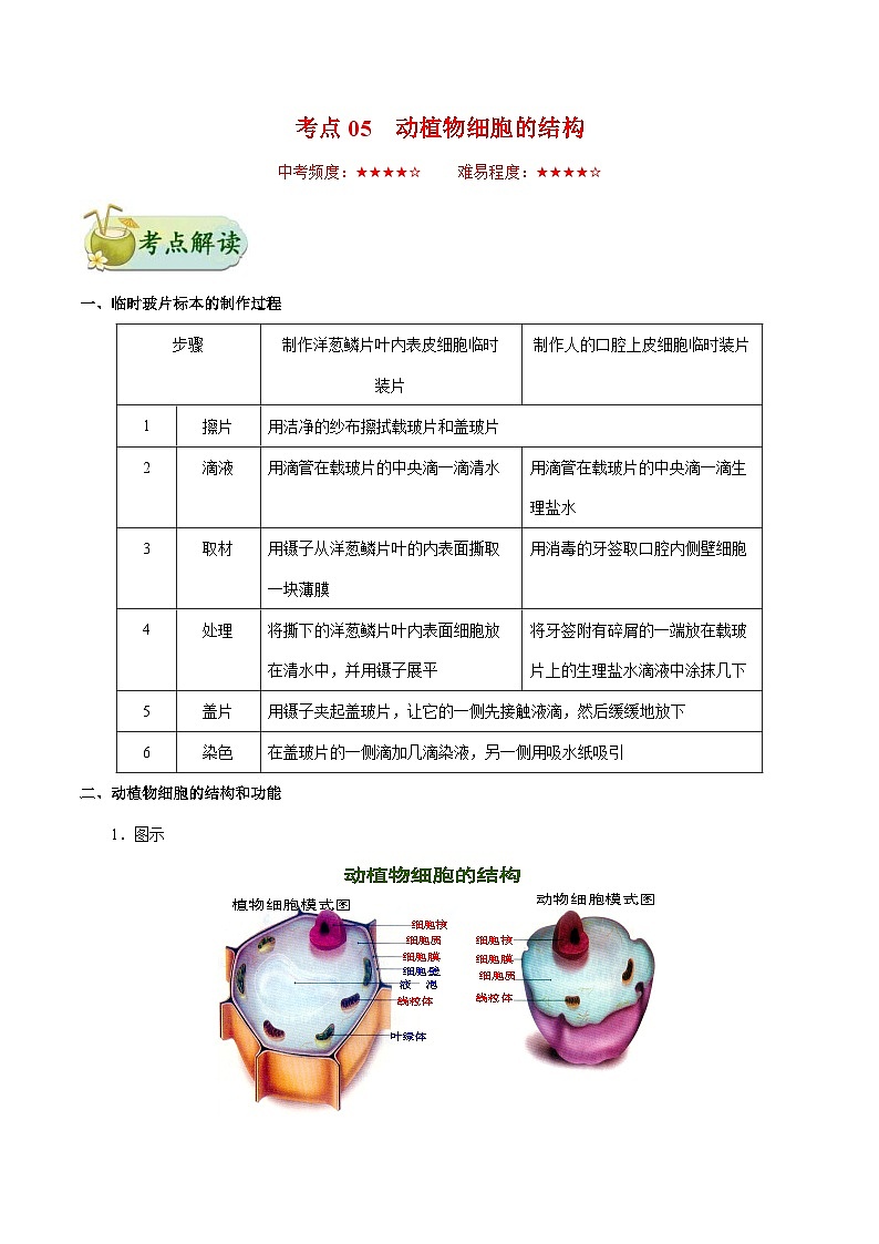 中考生物一轮复习基础练习卷考点05 动植物细胞的结构（含解析）01