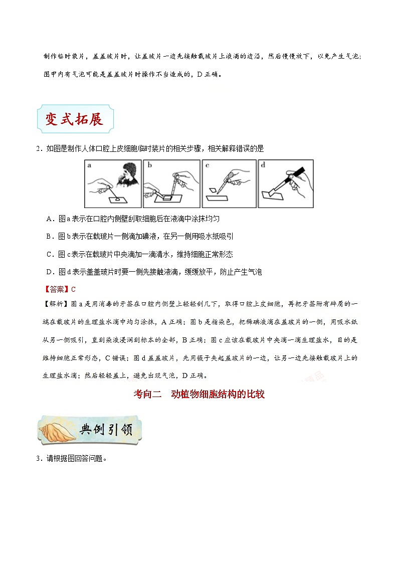 中考生物一轮复习基础练习卷考点05 动植物细胞的结构（含解析）03