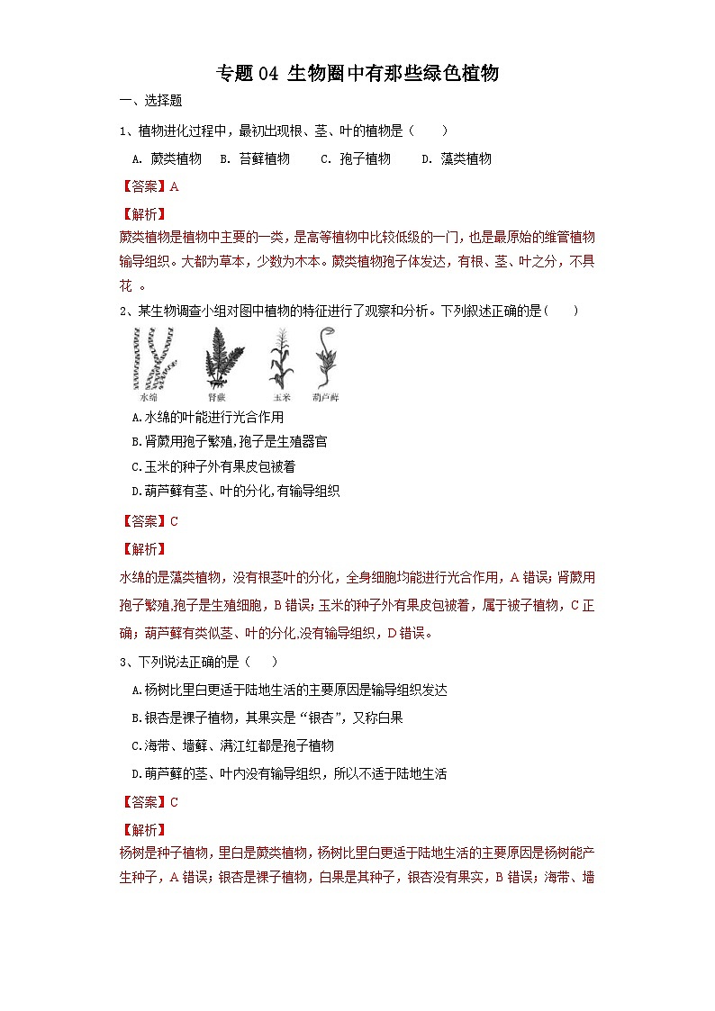 中考生物一轮复习过关测试专题04 生物圈中有哪些绿色植物（含解析）01