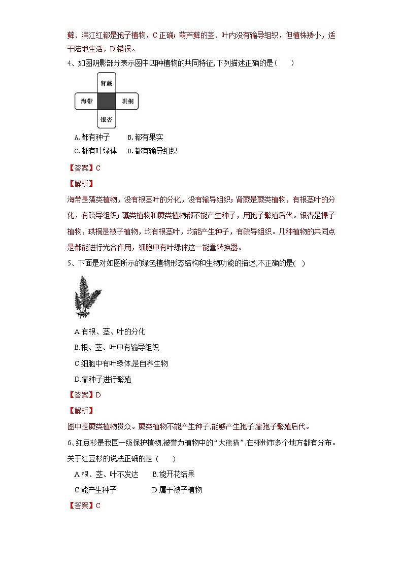 中考生物一轮复习过关测试专题04 生物圈中有哪些绿色植物（含解析）02