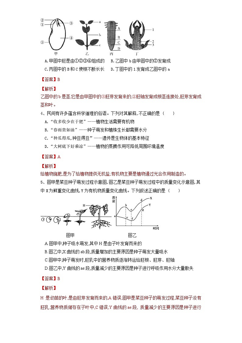 中考生物一轮复习过关测试专题05 被子植物的一生（含解析）02