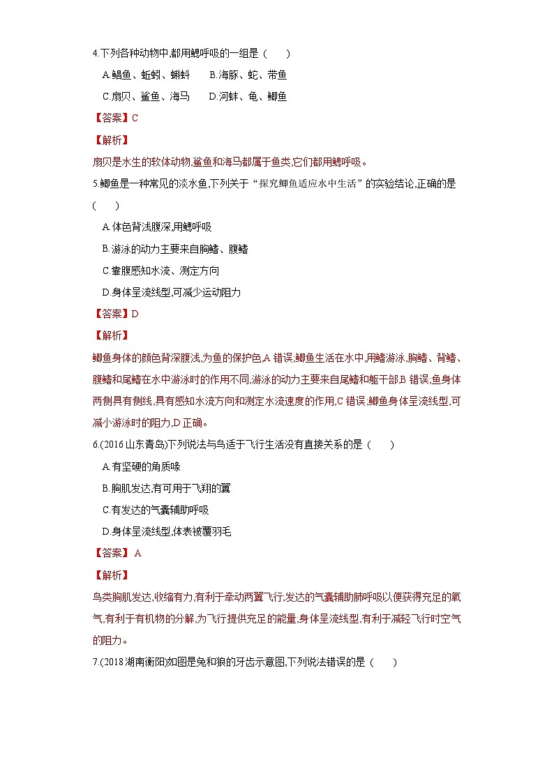 中考生物一轮复习过关测试专题15 动物的主要类群（含解析）02