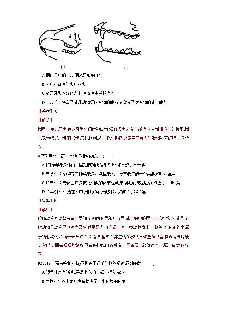 中考生物一轮复习过关测试专题15 动物的主要类群（含解析）03