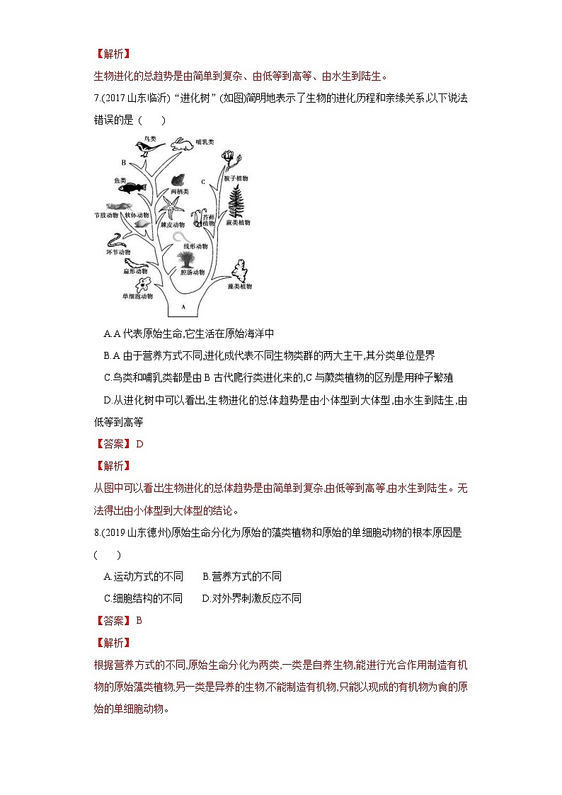 中考生物一轮复习过关测试专题21 生命起源和生物进化（含解析）03
