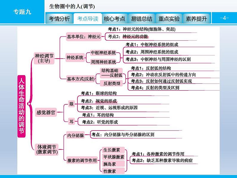 中考生物一轮复习精品课件专题九生物圈中的人(调节)（含答案）第4页