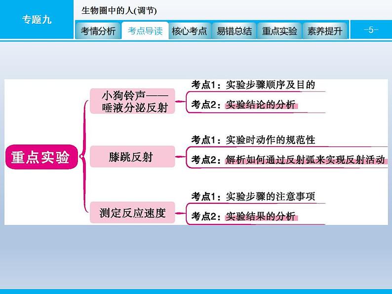 中考生物一轮复习精品课件专题九生物圈中的人(调节)（含答案）第5页