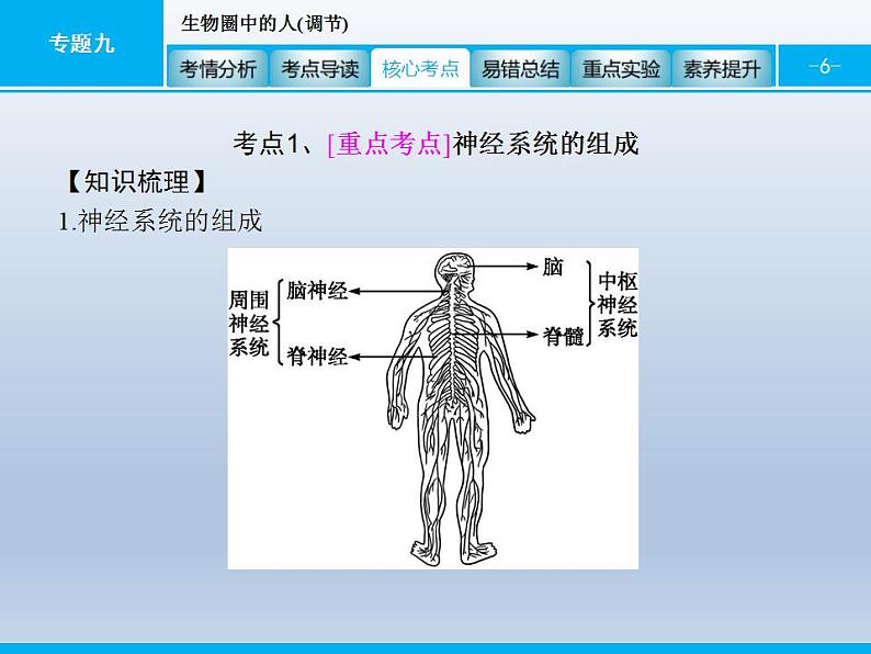 中考生物一轮复习精品课件专题九生物圈中的人(调节)（含答案）第6页