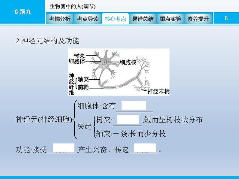 中考生物一轮复习精品课件专题九生物圈中的人(调节)（含答案）第8页