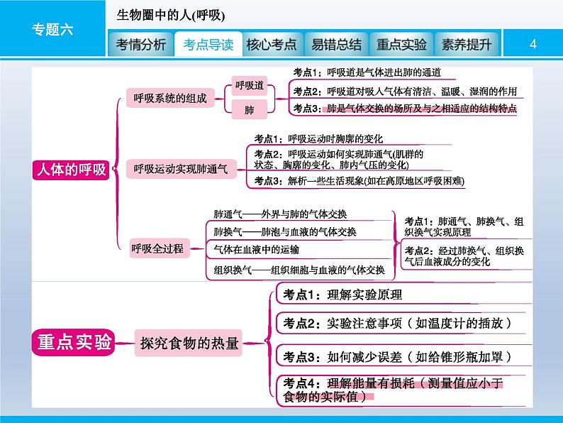 中考生物一轮复习精品课件专题六生物圈中的人(呼吸)（含答案）04