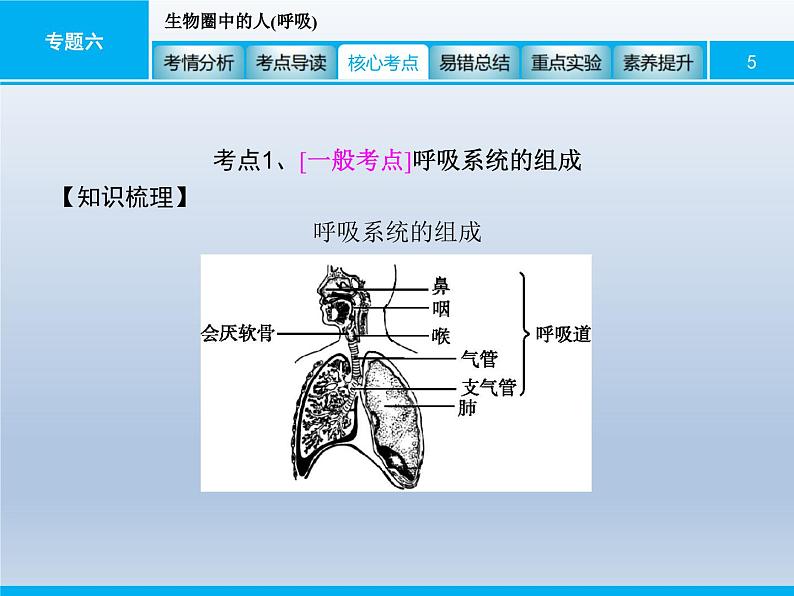 中考生物一轮复习精品课件专题六生物圈中的人(呼吸)（含答案）05