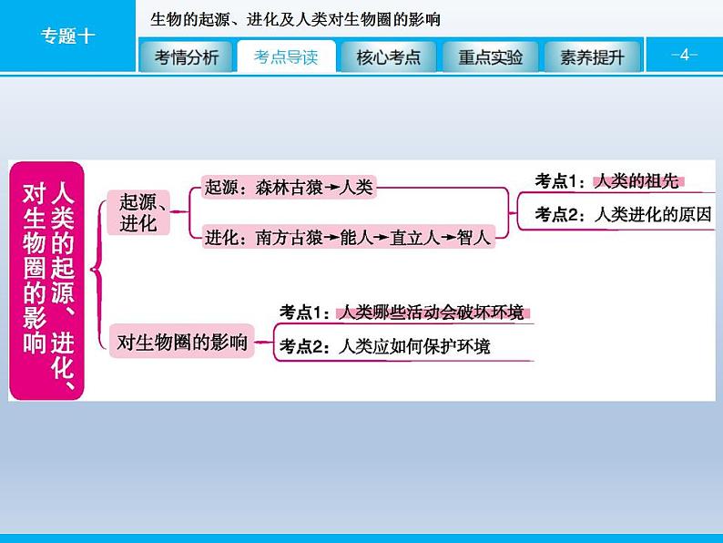 中考生物一轮复习精品课件专题十生物的起源、进化及人类对生物圈的影响（含答案）第4页