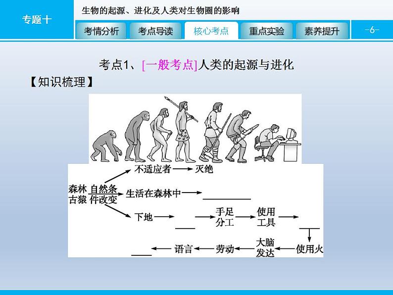 中考生物一轮复习精品课件专题十生物的起源、进化及人类对生物圈的影响（含答案）第6页