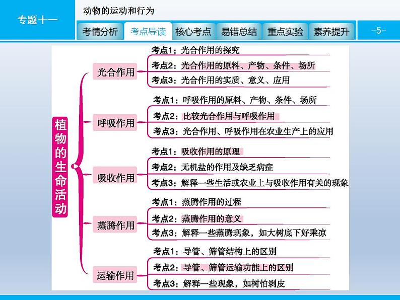 中考生物一轮复习精品课件专题四生物圈中的绿色植物(生命活动)（含答案）第5页