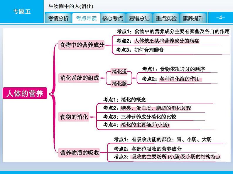 中考生物一轮复习精品课件专题五生物圈中的人(消化)（含答案）第4页