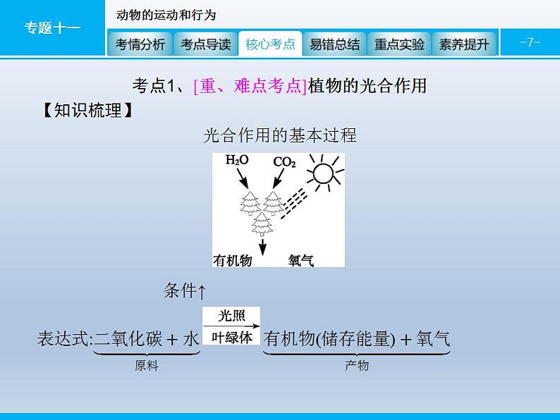 中考生物一轮复习精品课件专题四生物圈中的绿色植物(生命活动)（含答案）第7页