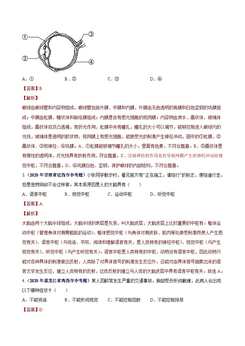 2020年中考生物真题分项汇编专题07 人体生命活动的调节（含解析）02