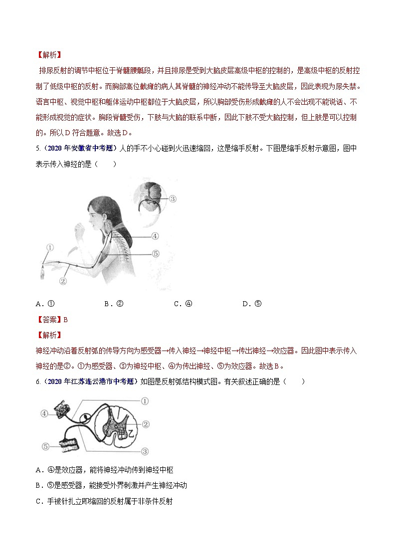 2020年中考生物真题分项汇编专题07 人体生命活动的调节（含解析）03