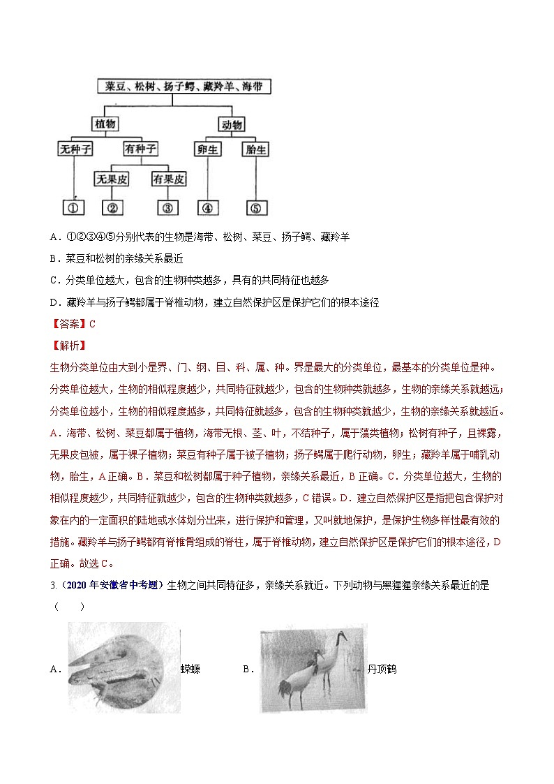 2020年中考生物真题分项汇编专题10 生物的分类进化和多样性保护（含解析）第2页