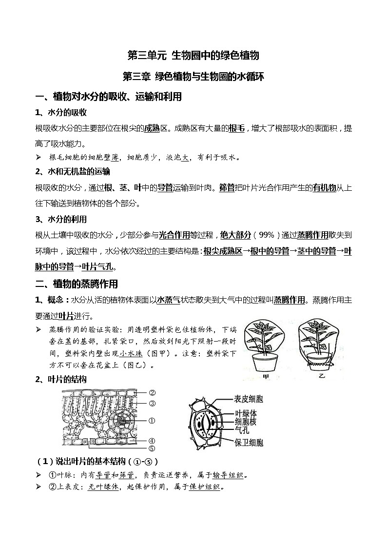 中考生物一轮复习必背知识清单05 绿色植物的三大作用01