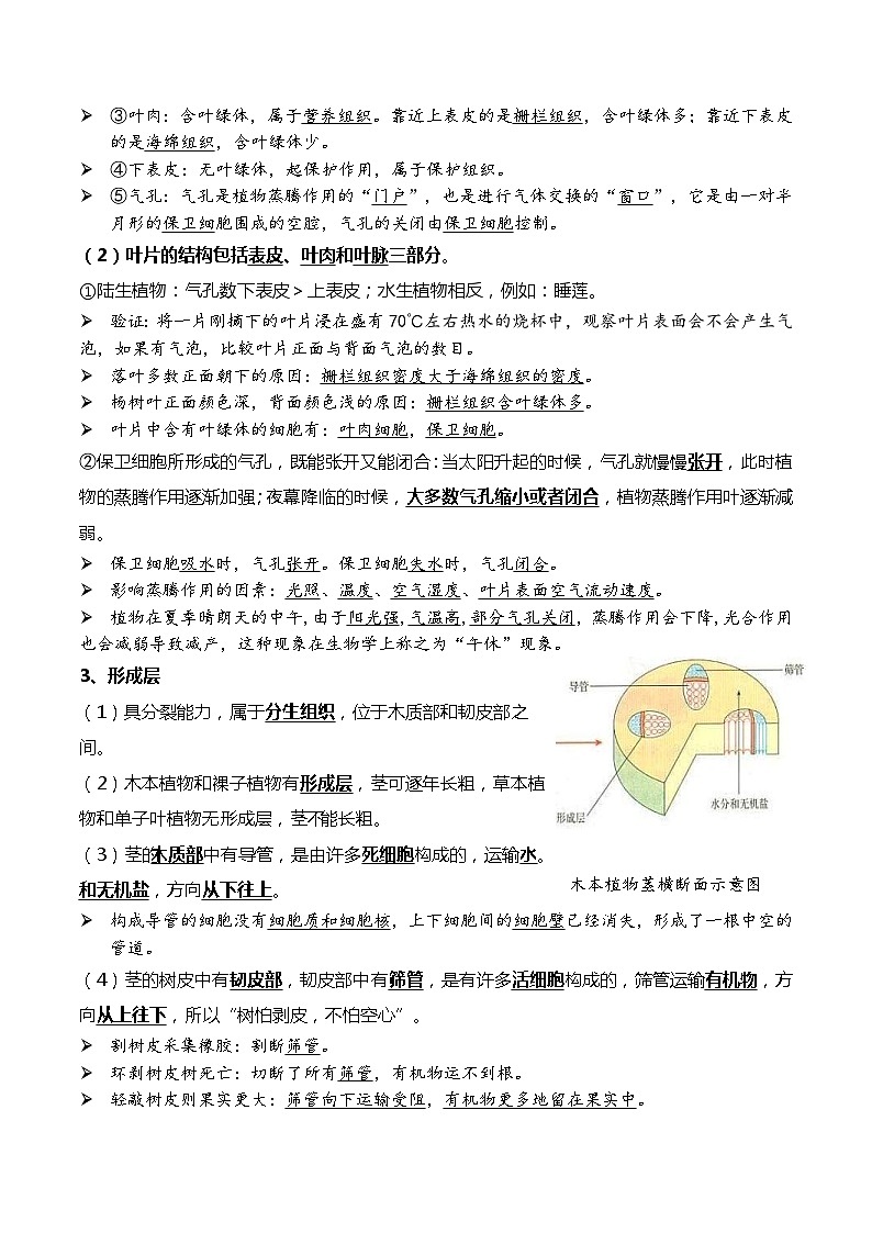 中考生物一轮复习必背知识清单05 绿色植物的三大作用02