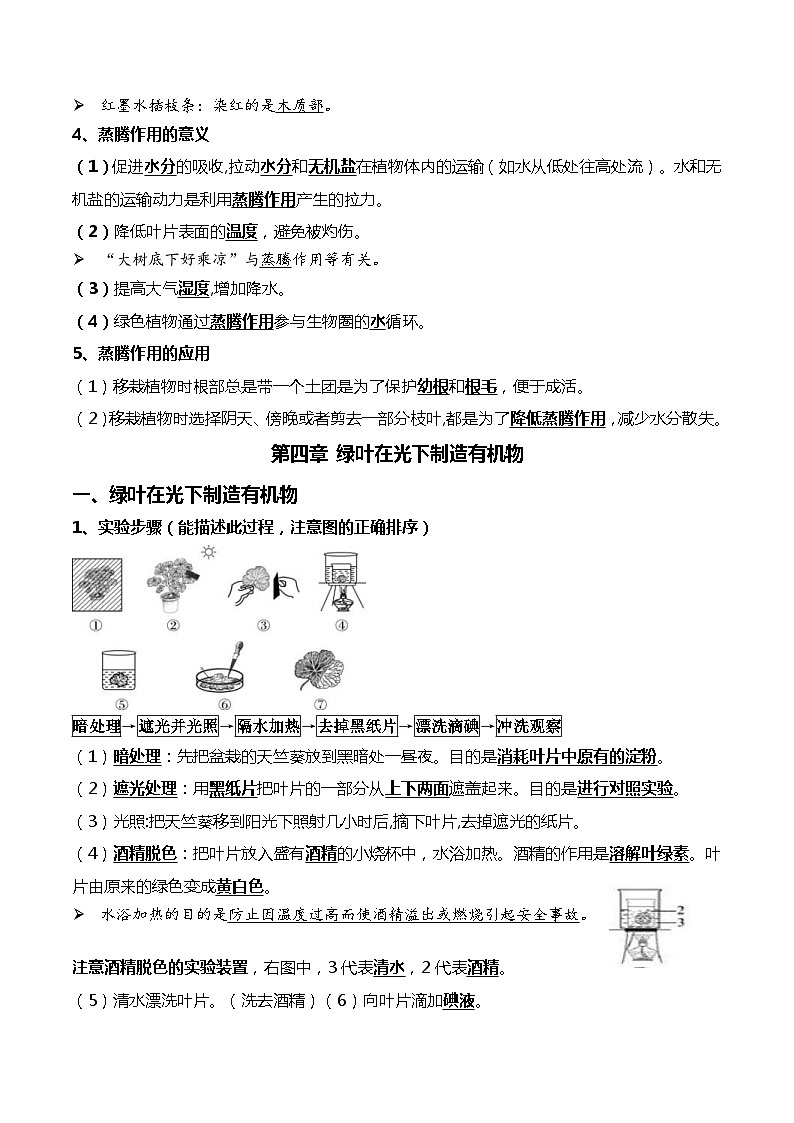 中考生物一轮复习必背知识清单05 绿色植物的三大作用03