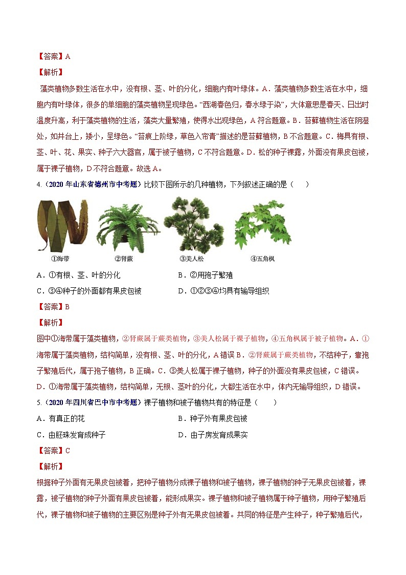 2020年中考生物真题分项汇编专题09 植物动物和微生物类群（含解析）02